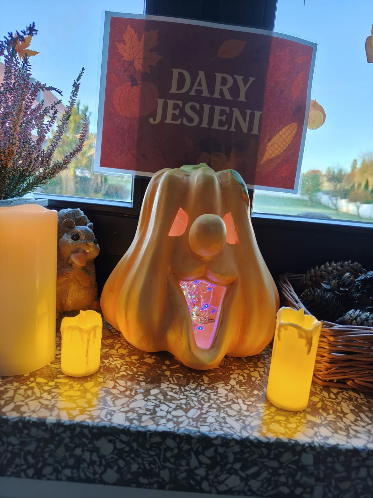 Dzień Dyni