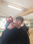 powiększ zdjęcie