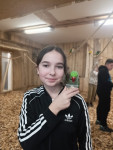 powiększ zdjęcie