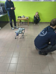 powiększ zdjęcie 