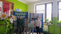 powiększ zdjęcie