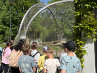 powiększ zdjęcie 