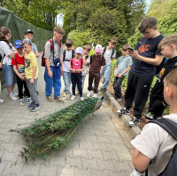 powiększ zdjęcie 