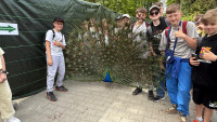 powiększ zdjęcie 