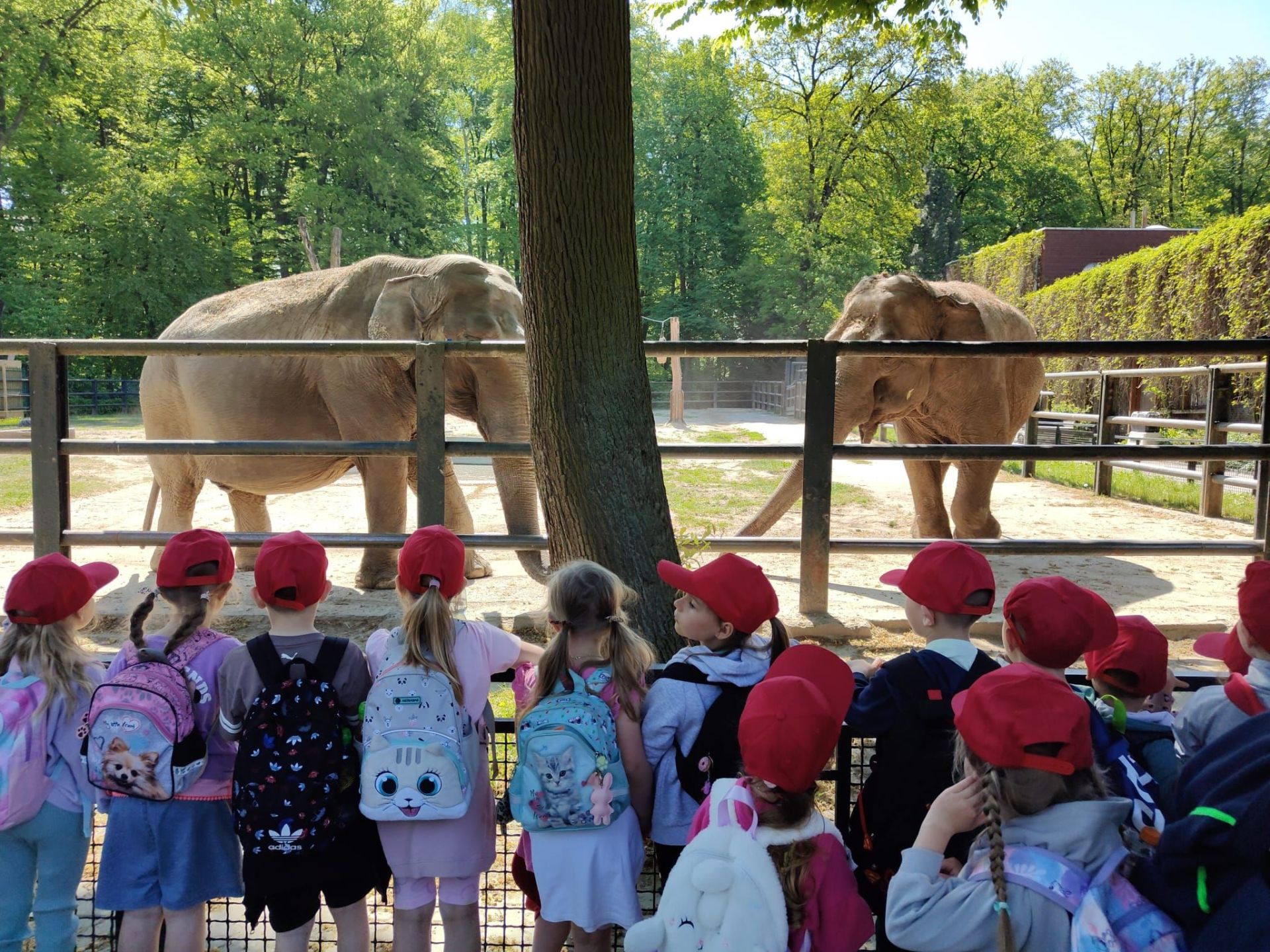Wycieczka przedszkolaków do ZOO