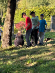 powiększ zdjęcie